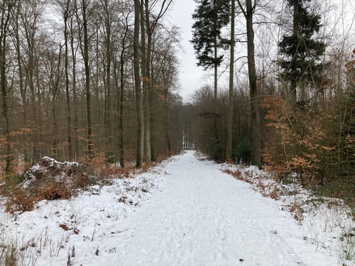 Winnweiler, Kahlheckerhof und Ingelbornerhöhe