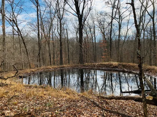 Best Mountain Biking Trails in Brown County State Park | AllTrails