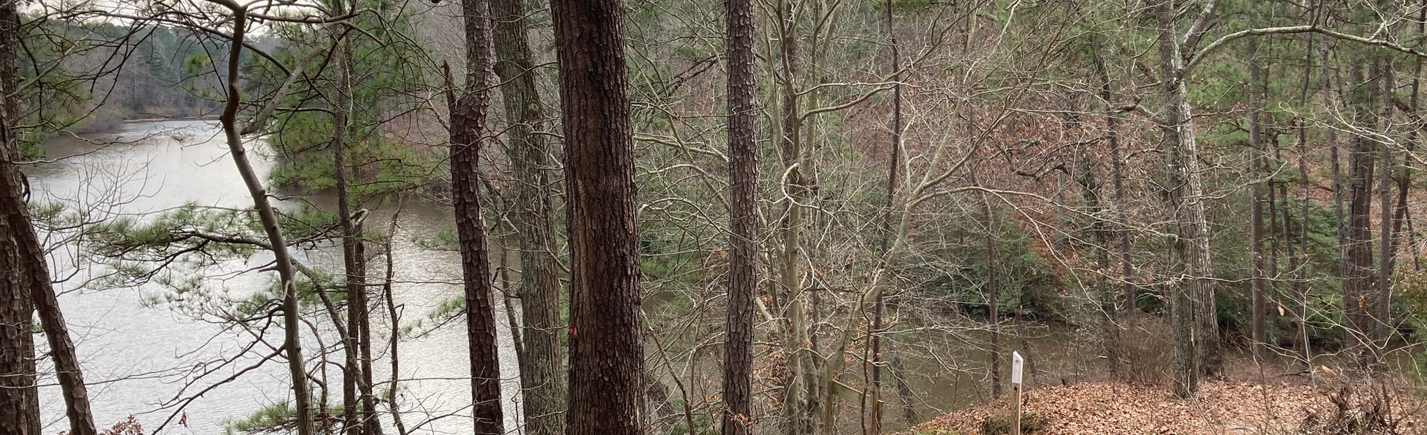 Wilcox Lake via Blue Overlook, White Trail and Battery 36, Virginia 6