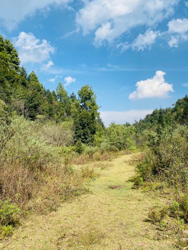 Photos of Jilotzingo, México trails | AllTrails