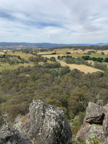 are dogs allowed at hanging rock reserve