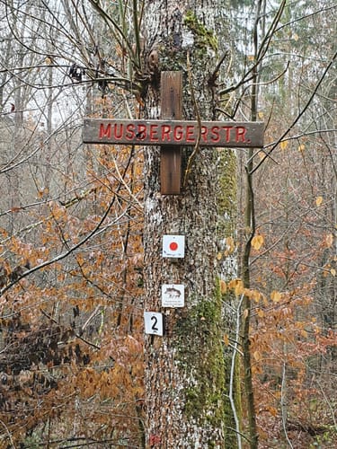 Musberg Rundweg