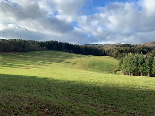 Adenau zu Nürburg