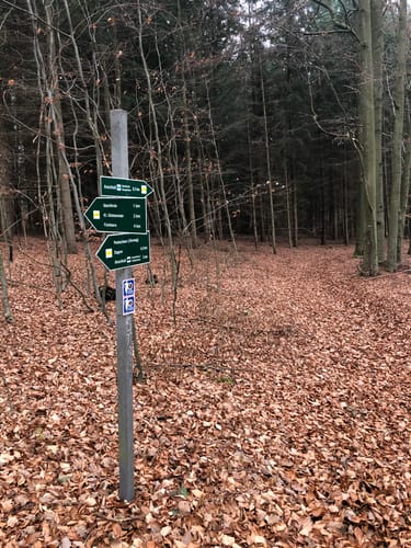 Peetschsee Rundweg