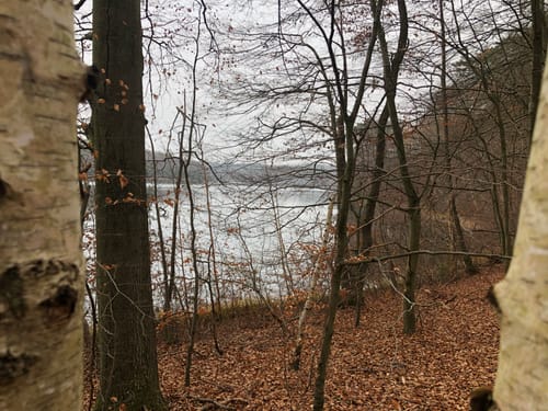 Peetschsee Rundweg