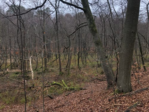 Peetschsee Rundweg