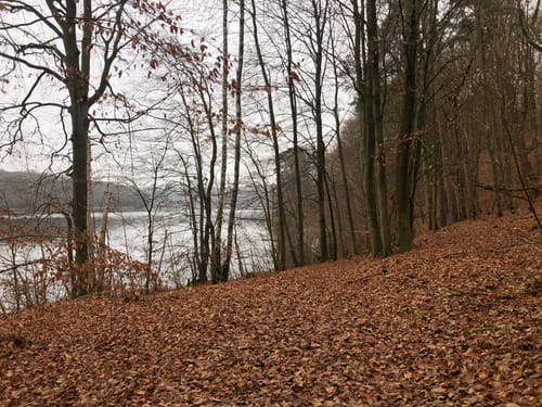 Peetschsee Rundweg