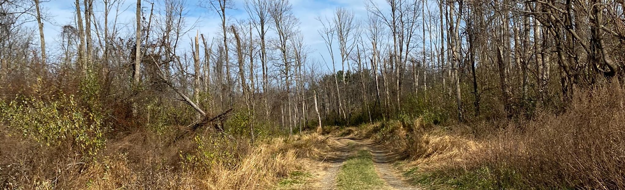 Soapstone, Bull Run, and Santee Branch Trail 493 Reviews, Map