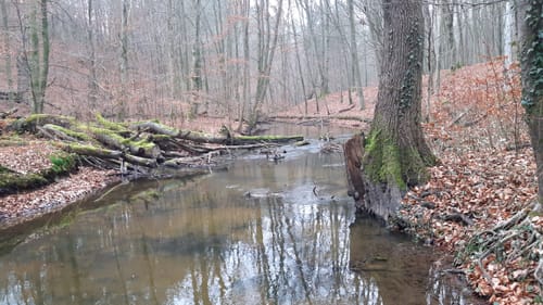 Mildenitztal