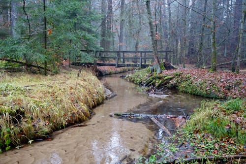 Vom Birkensee durch die Röthenbachklamm