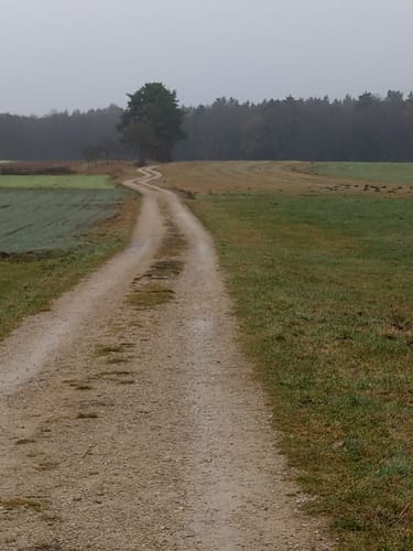 Runde Neumarkt Holzheim