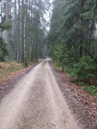 Runde Neumarkt Holzheim