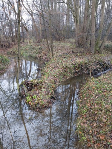 Runde Neumarkt Holzheim