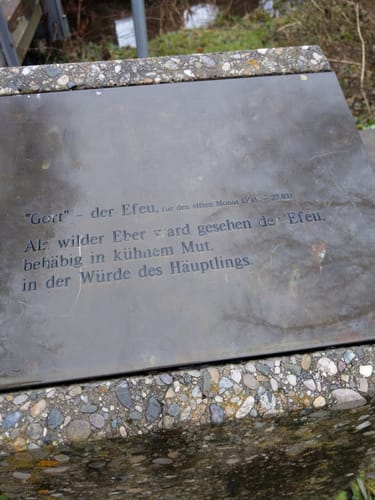 Runde Neumarkt Holzheim