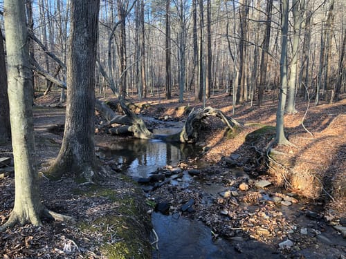 2023 Best Views Trails in Broad Run AllTrails