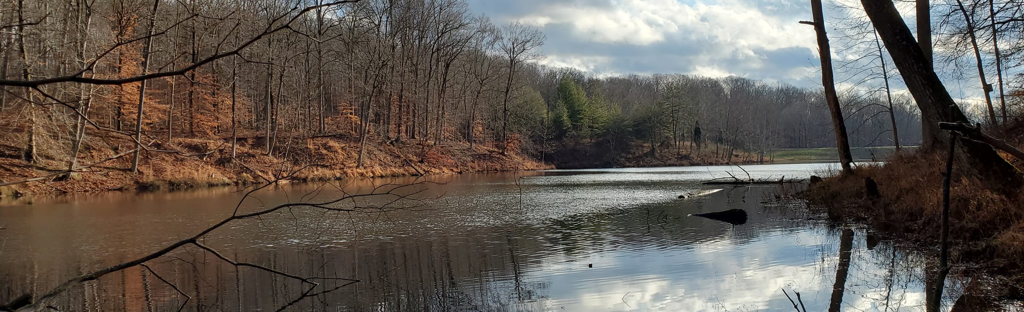Twin Lakes, Kyana, Firetower, Foxey Hollow, South Ridge Trail Loop