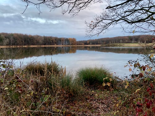 Rodder Maar - Weiselstein - Waldorf
