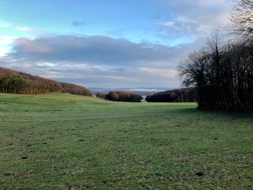 Rodder Maar - Weiselstein - Waldorf