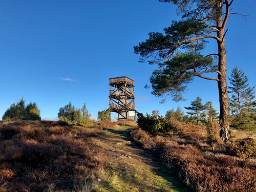 Rodder Maar - Weiselstein - Waldorf