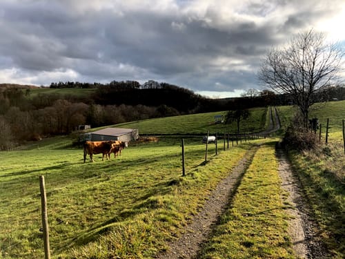 Rodder Maar - Weiselstein - Waldorf