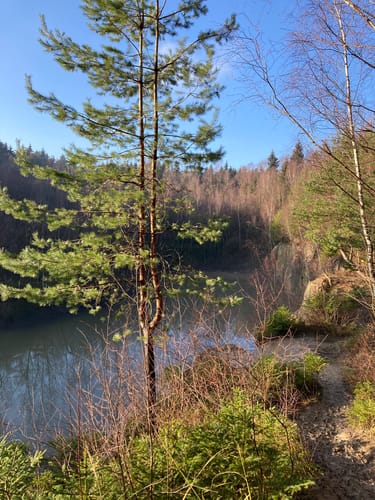 Von der Holzmühle zur Sennhütte im Osterwald