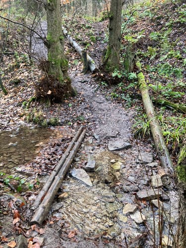 Von der Holzmühle zur Sennhütte im Osterwald