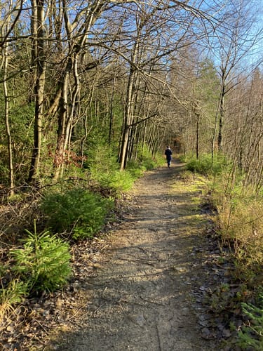 Von der Holzmühle zur Sennhütte im Osterwald