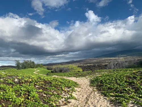 10 Best Trails and Hikes in Kailua Kona | AllTrails