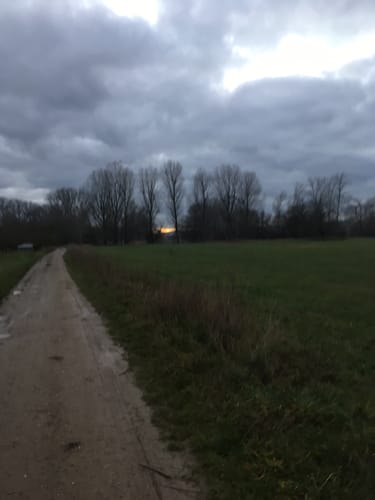 Von Frei-Weinheim entlang des Rheins bis Heidenfahrt