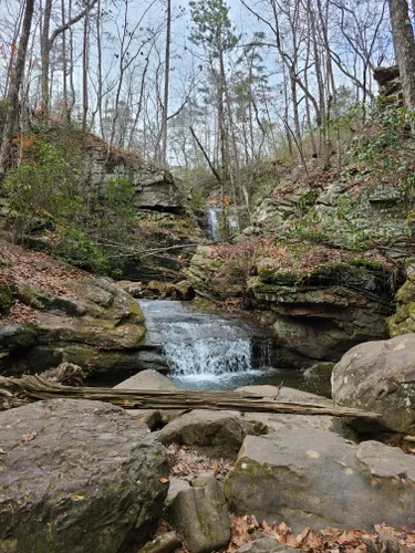 10 Best Trails and Hikes in Birmingham | AllTrails