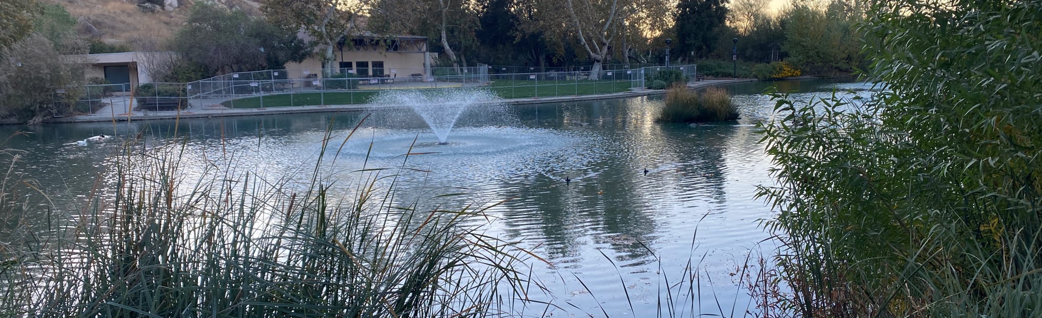 Mary Vagle Nature Center Trail, 182 Fotos California AllTrails