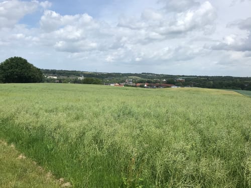 Von Hilden nach Ratingen