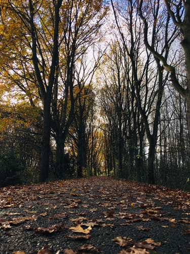 Tour 16, Radwander-Rundweg, Stormarn
