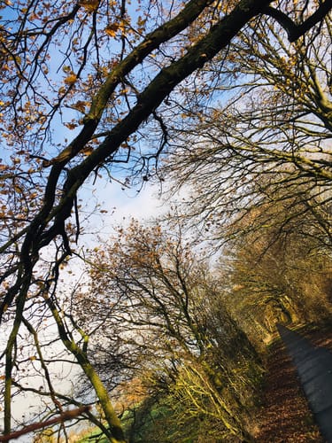 Tour 16, Radwander-Rundweg, Stormarn