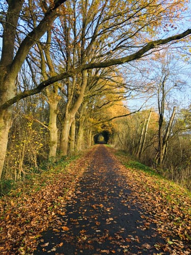 Tour 16, Radwander-Rundweg, Stormarn