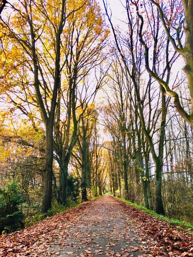 Tour 16, Radwander-Rundweg, Stormarn