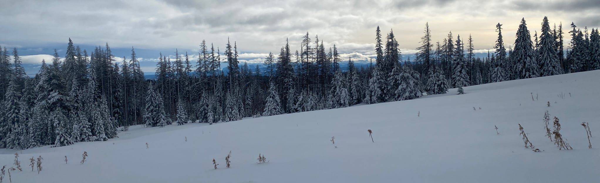 Horseshoe Prairie Snowshoe Loop Map, Guide Oregon AllTrails