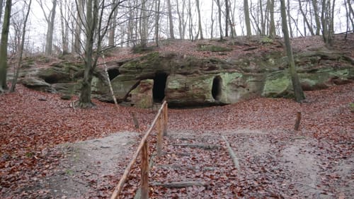 Über Hardelsberg und  Spechtsberg zur Huysburg