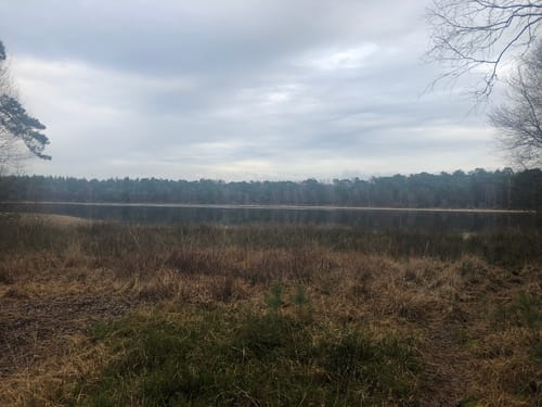 Kleine Moorrunde Rotenburg