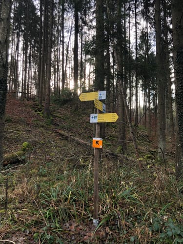 SB6 Schnuppertour im Naturpark