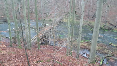 Warnowtal - Eickdorf