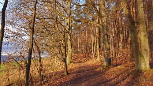 Triasfenster ab Kellereiberg