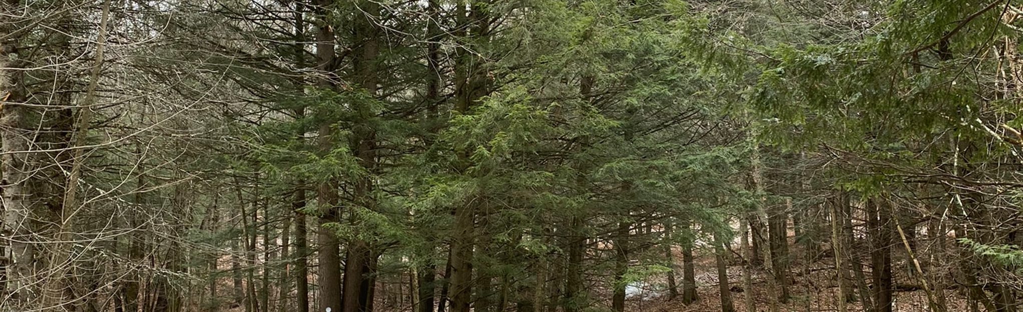 Hauteurs de Sweetsburg, Quebec, Canada 24 Reviews, Map AllTrails