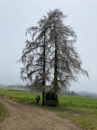 Schnellertsham - Winkl - Unteruttlau