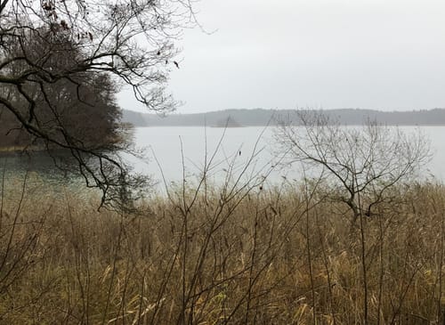 Um den Großen Wummsee