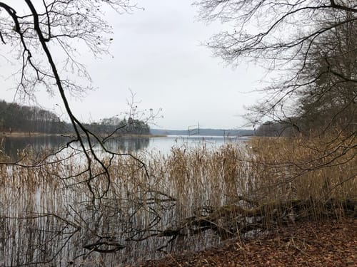 Um den Großen Wummsee
