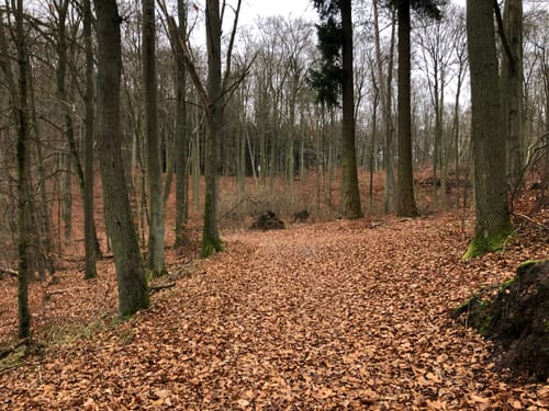 Um den Großen Wummsee