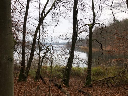 Um den Großen Wummsee