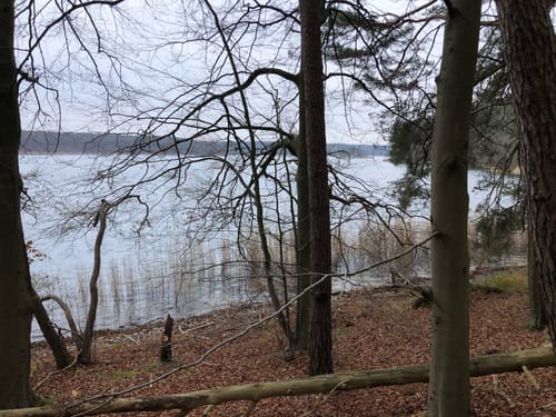 Um den Großen Wummsee