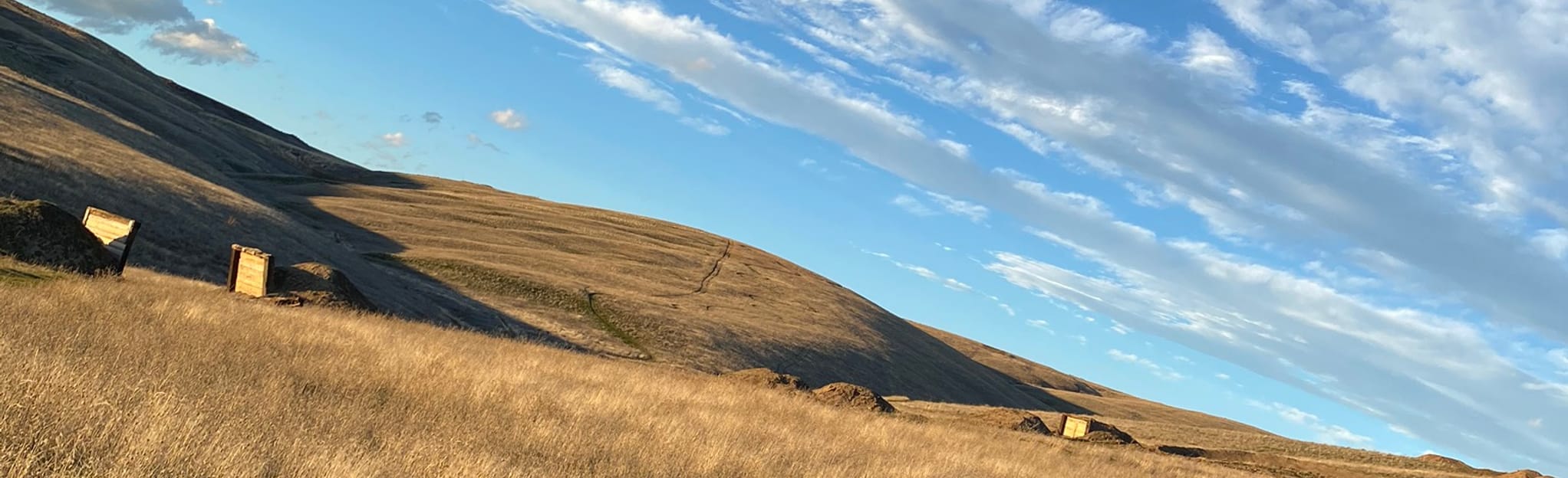 James Trail, Stem Cell, and Zig Zag Loop: 6 foto - Oregon | AllTrails